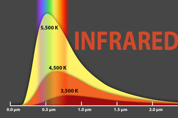What Is Infrared?